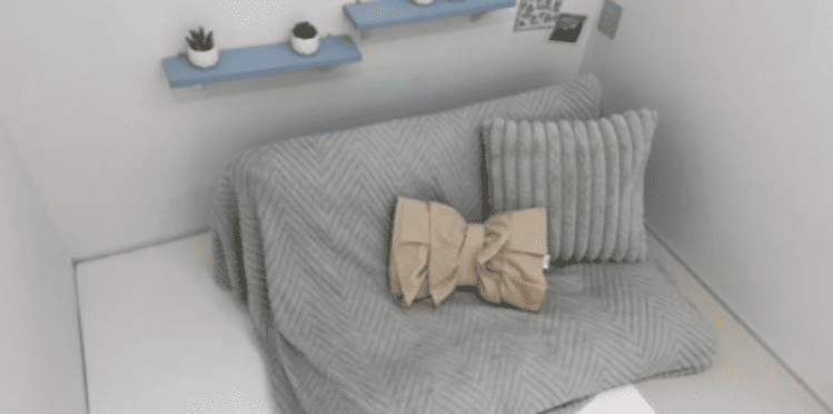 ポケットワーク チャットレディ